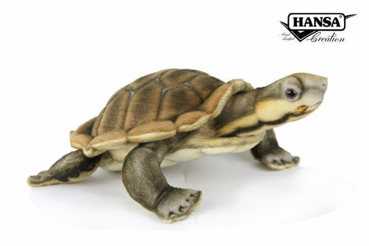River Turtle 11 in. (8426)