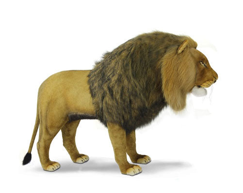 Lion King Lion 72 in. Long (8078)