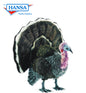 Turkey, Life Size 42 in. (4720)