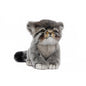 Pallas Kitten 12 in. (7299)