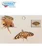 Moth 8 in. (6553)