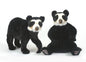 Andean Bear Walking on 4'S (5544)
