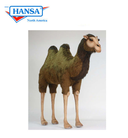 Camel Extra Large Ride-On 5 ft 3 in (1813)