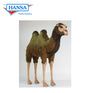 Camel Extra Large Ride-On 5 ft 3 in (1813)
