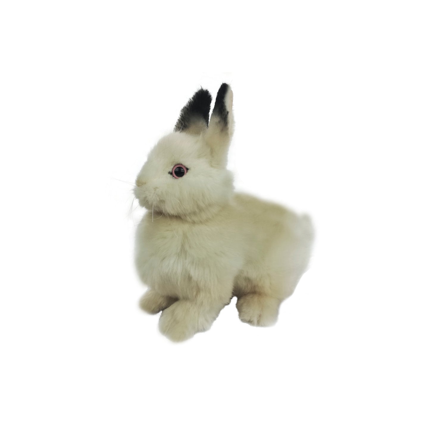 Bunny (Cream) 9 in. (7805)