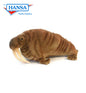 Walrus 15 in. (5327)