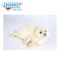Seal 25 in. (5652)