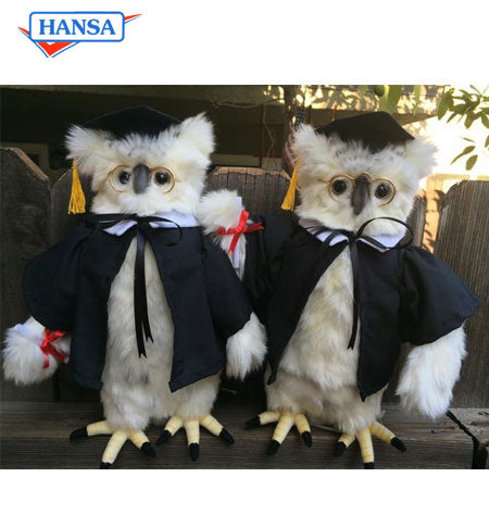 Graduation Owl (6005)