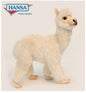 Alpaca (6024)