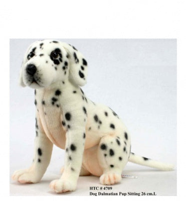 Dalmatian Pup Seated (4709)