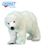 Polar Bear Cub Medium on All Fours (5259)