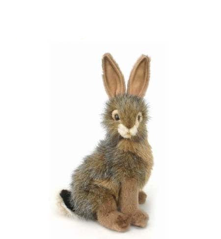 Rabbit, Bunny (3581)
