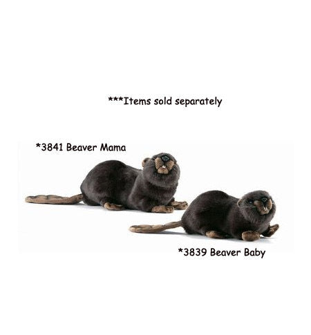 Beaver, Baby (3839)