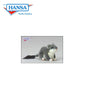 Gray Hamster (4834)