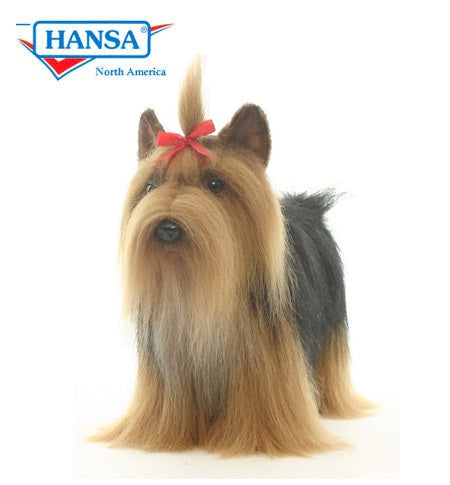 Yorkshire Terrier 14 in. (5909)