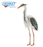 Heron Great Blue (3231)