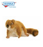Squirrel, Central Park, Stoat (4843)