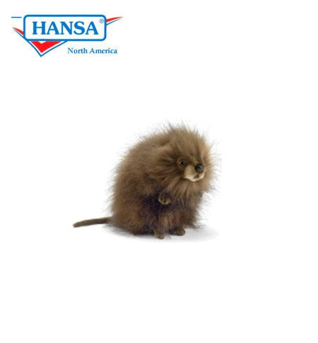 Muskrat (5201)