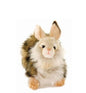 Rabbit, Fawn (4015)