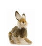 Hare, Brown (4076)