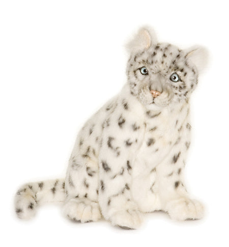 Snow Leopard Cub Sitting (4355)