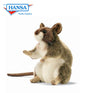 Mouse, Gelbhals (3597)