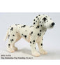 Dalmatian Pup Standing (4711)