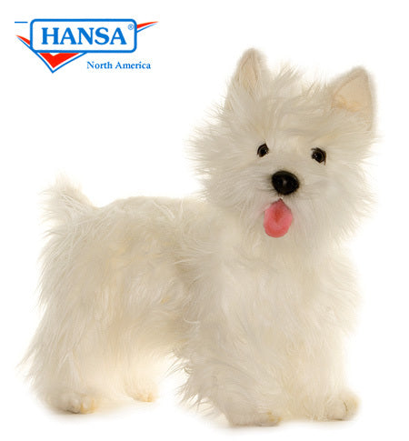 West Highland Terrier (4567)