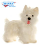 West Highland Terrier (4567)