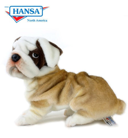 Bulldog (5271)
