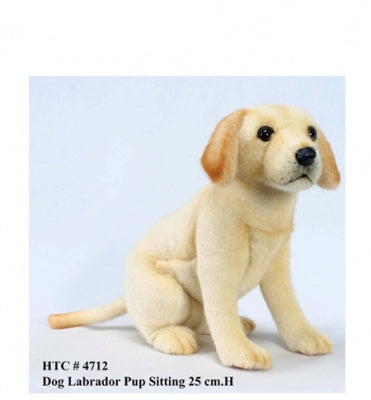 Labrador Pup Seated (4712)