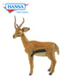 Gazelle (4778)