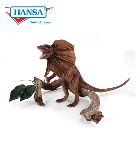Frilled Lizard (6022)