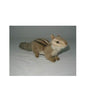 Chipmunk, Crouching (3091)