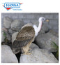 Vulture, Extra Large Life Size (3156)