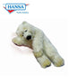 Polar, Cub (4808)