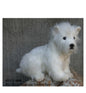 West Highland Terrier (4127)