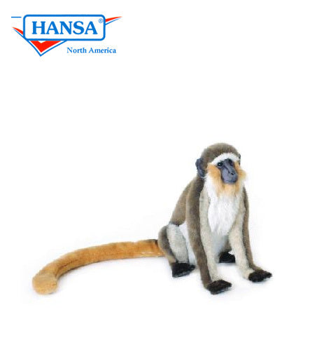 Monkey, Green Vervet (5187)