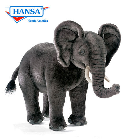 African Elephant Cub (3824)