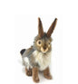 Rabbit, Blacktail Medium (3754)