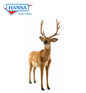 Hansatronics Mechanical Deer, White-Tail (0185)