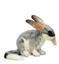 Bilby (4600)