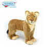Lion, Cub Standing (4310)