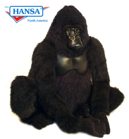 Gorilla, Zimbabwe (3391)