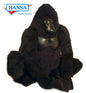 Gorilla, Zimbabwe (3391)
