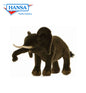 Elephant, Baby (2967)