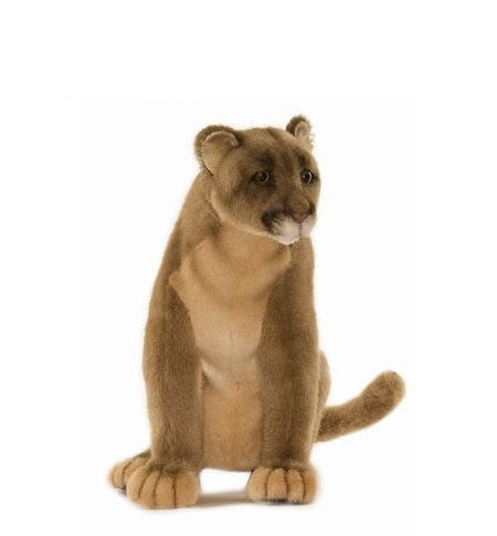 Mountain Lion / Cougar / Puma (4255)