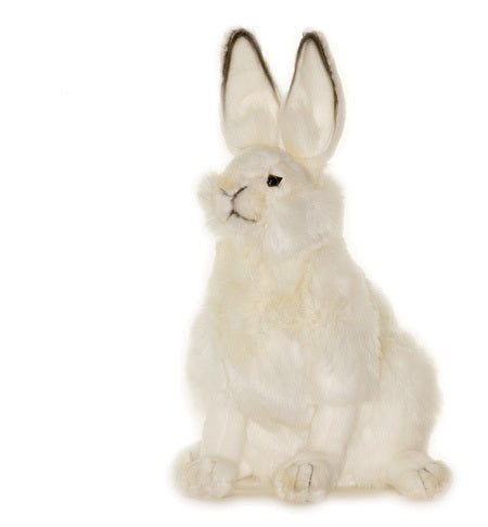 White Hare (4075)