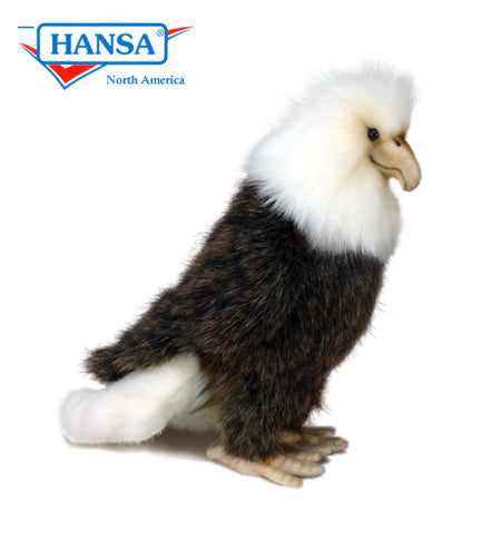 American Eagle, Perched w/ Folded Wings (4856)