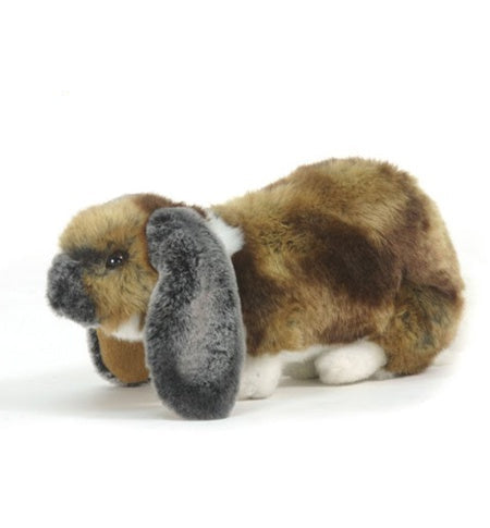 Lop Eared Rabbit (5530)